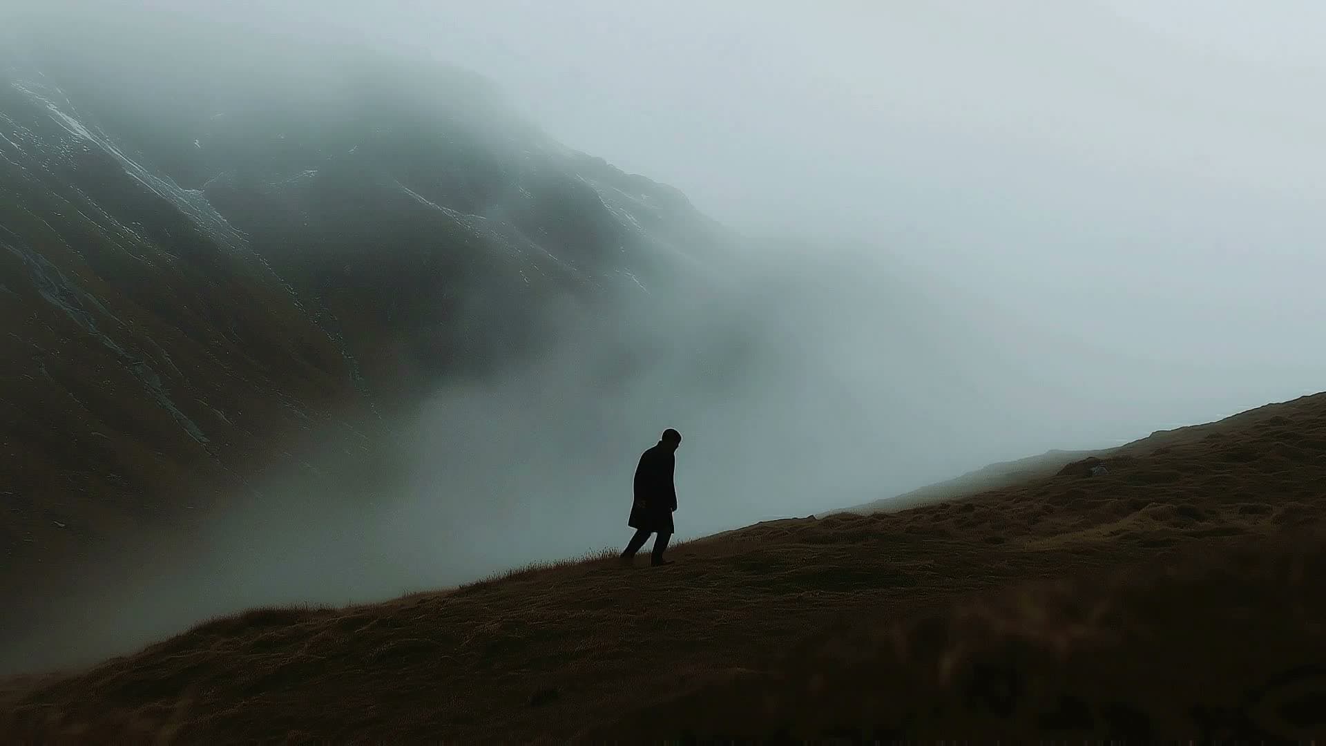 Wondering
